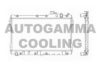 AUTOGAMMA 101998 Radiator, engine cooling